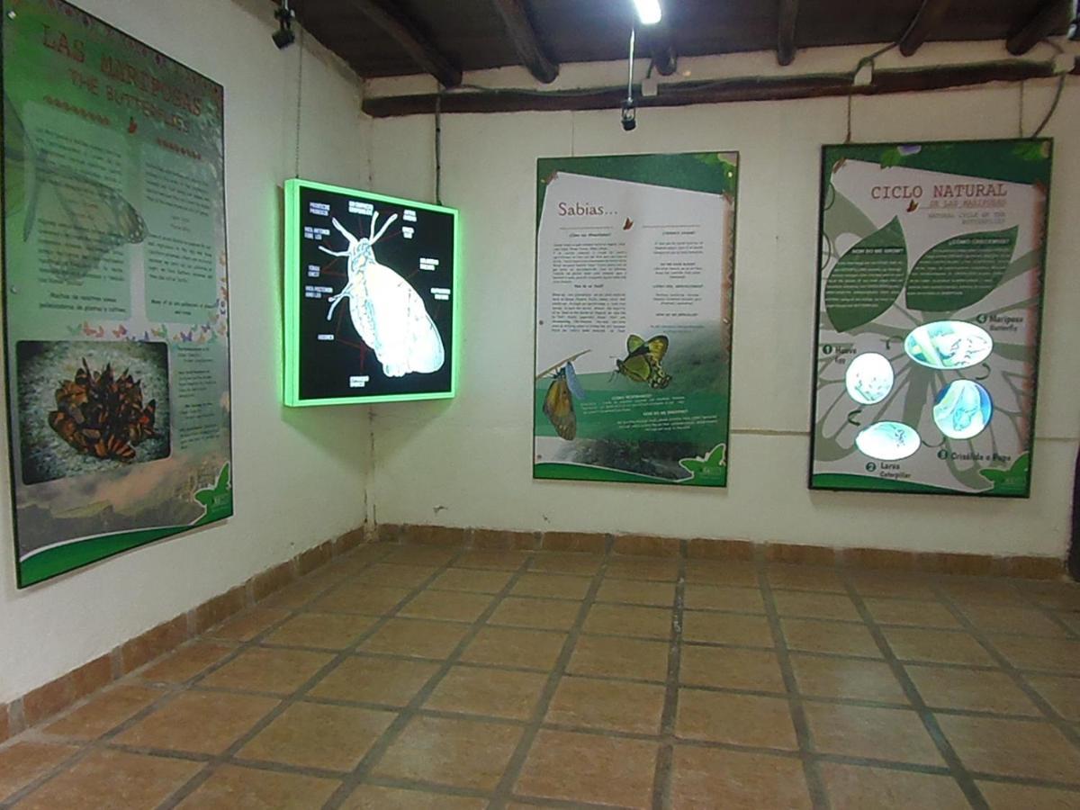 Hostal Pablo'S House ماتْشّوبيكتْشو المظهر الخارجي الصورة